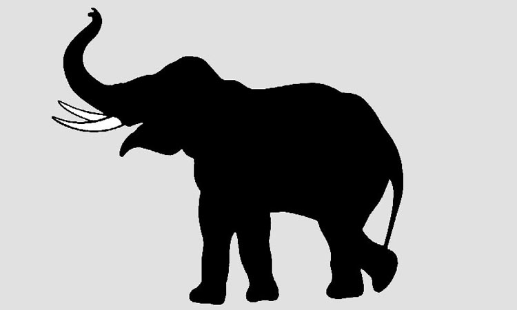 കരുവാരകുണ്ടിൽ കാട്ടാനകൾ ​െചരിഞ്ഞ നിലയിൽ; രണ്ടു പേർ അറസ്​റ്റിൽ